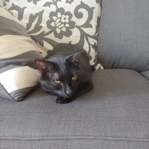 Meet your Posher, Myranda